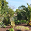 Отель Maison à 200m de la plage avec jardin clos sur l'ILE GRANDE - Réf 283, фото 1