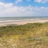 Отель Villa With Sauna Surrounded by Dune Reserve, фото 6