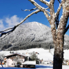 Отель Alpenhof, фото 24