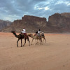 Отель Wadi Rum Bedouin Camp, фото 18