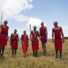 Отель Losokwan Luxury Tented Camp - Maasai Mara, фото 31