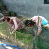 Отель The Grass Vy Homestay, фото 14