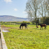 Отель Host Stay Rose House, фото 14
