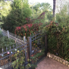 Отель Il Gelsomino Garden Suite, фото 4