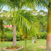 Отель Emerald View Resort Villa, фото 18