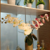Отель D'Ariska Rooms Homestay, фото 7