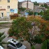 Гостиница Druzya, фото 13