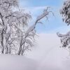 Отель Sarah dreamhome in lapland, фото 20