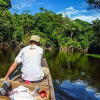 Отель Amazon King Lodge, фото 34