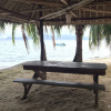 Отель Sangat Island Dive Resort, фото 10