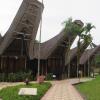 Отель Toraja Heritage Hotel, фото 14