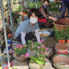 Отель Chungju Wildflowers and Gotaengnadeuri, фото 11