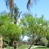 Отель Sonoran Suites of Palm Springs at Canterra, фото 20
