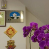 Отель Ziteng Hua Homestay, фото 4