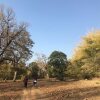 Отель Tadoba Bodhivann Jungle Camp Nature's Sprout, фото 12