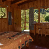 Отель Toucanet Lodge, фото 18