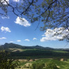 Отель Casa Girasole Agriturismo Le Selvole Tuscany, фото 16