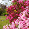 Отель Uveiras Villa Garden, фото 20