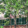 Отель GreenTree Inn Shanxi Jincheng Jianshe Road Express Hotel, фото 12