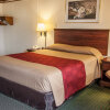 Отель Rodeway Inn Convention Center, фото 7