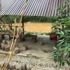 Отель Ankroet Camp Da Lat, фото 12