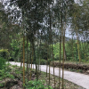 Отель Hemerocallis Country House, фото 13