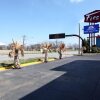 Отель Americas Best Value Inn at Cowboy Stadium, фото 11