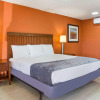 Отель Rodeway Inn, фото 15