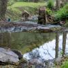 Отель Rursee Schilsbachtal - Naturnahe Auszeit am Rursee - Eifel-Ferienwohnungen der besonderen Art, фото 37