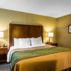 Отель Comfort Inn Newport News/Williamsburg East, фото 4