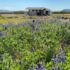 Отель Blue View Cabin 5B with Hot Tub, фото 7