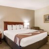 Отель Quality Inn & Suites Tarpon Springs South, фото 36