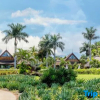 Отель Club Med Villas dAlbion, фото 12