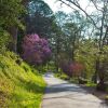 Отель The Terrace at Lake Junaluska, фото 29