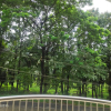 Отель Athirapilly Palace Hydel, фото 12