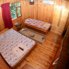Отель Olympos Çamlık Pansiyon, фото 2
