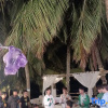 Отель Wenchang Yunjuanyunshu Seascape  Inn, фото 3