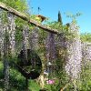 Отель La Piccionaia .... Tuscan Holiday Home Surrounded by Nature, фото 11