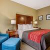 Отель Comfort Inn DFW North-Irving, фото 6