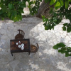 Отель Christina Seaside-Villa On A Sandy Beach, фото 8