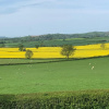 Отель Upper Home Farm, фото 8