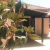 Отель Private Two-house Villa With Pool in Olive Garden, фото 8