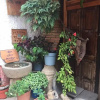 Отель Posada de Los Reyes, фото 23