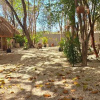 Отель Kin Tulum Jungle Deluxe, фото 16