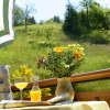 Отель Gasthof Blume, фото 6