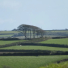 Отель Markstone Farm Adults Only, фото 15