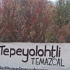 Отель Temazcal Tepeyolotli, фото 27