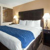 Отель Comfort Inn Oak Ridge - Knoxville, фото 17