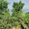 Отель Seaside House With Splendid View in Tekirdag, фото 11