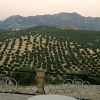 Отель La Almedina De Cazorla, фото 9